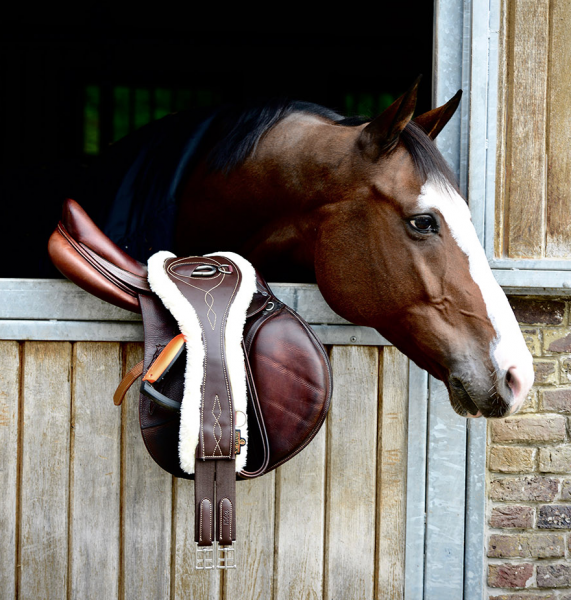 Kentucky Sheepskin Anatomic