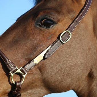 Kentucky Leather Grooming Grime