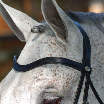 Dyon Dressage Drop Nose