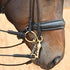 Dyon Dressage Collection Kandar