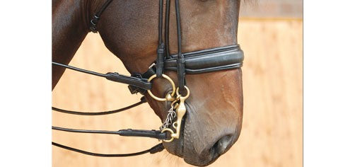 Dyon Dressage Collection Kandar