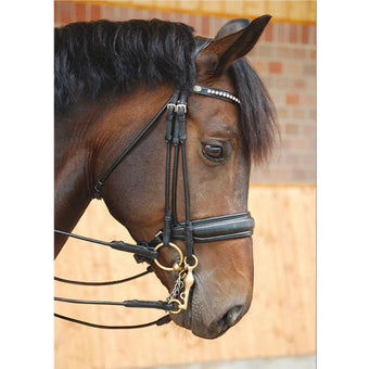 Dyon Dressage Collection Kandar