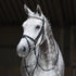 Heimer Gladstone Hodelag