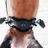 Kentucky Sheepskin Anatomic Short Girth