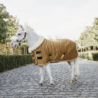 Kentucky Show Rug Velvet