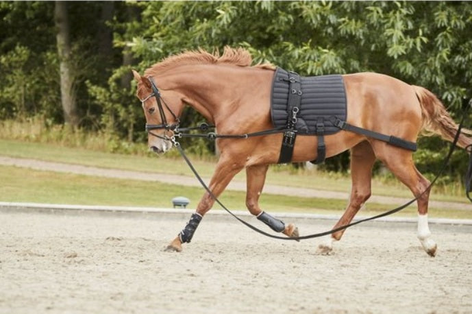 Catago Training Saddle Pad