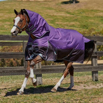 WeatherBeeta ComfiTec Plus Dynamic Detach-A-Neck Medium 220g