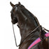 KC Anti Grazing Strap