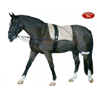 Cheval Longeringssytem