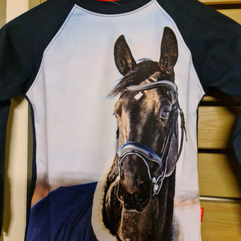 Red Horse Barnegenser
