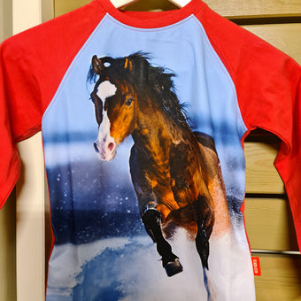 Red Horse Barnegenser