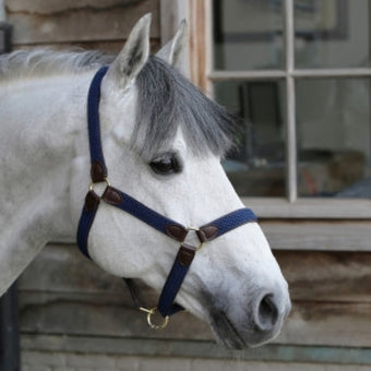 Kentucky Nylon Plaited