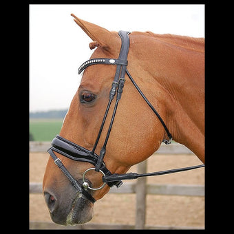 Dyon Dressage Collection Large Lack Noseband