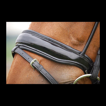 Dyon Dressage Collection Large Lack Noseband