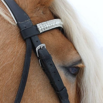 Bling Your Horse Wave Rhinestone All Crystal