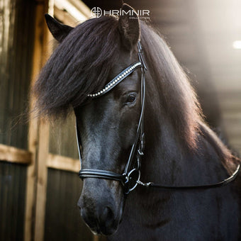 Hrimnir Classic Headstall - Ice