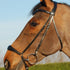 Dyon Dressage Drop Nose