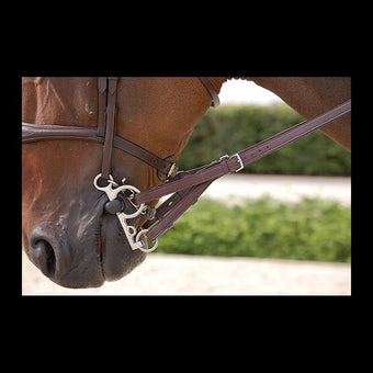 Dyon Converter Reins for pelhambitt