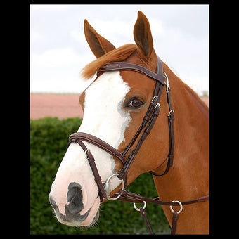 Dyon Fancy Flash Noseband Bridle
