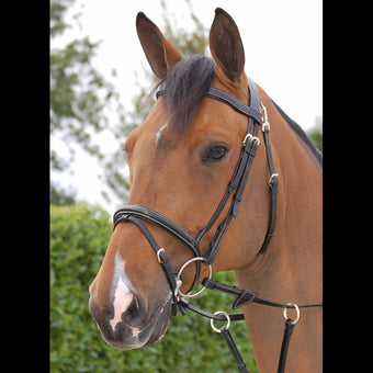 Dyon Fancy Flash Noseband Bridle