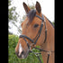Dyon Fancy Flash Noseband Bridle