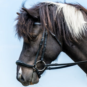 Dyon Icelandic Drop Nose Bridle