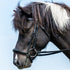 Dyon Icelandic Drop Nose Bridle