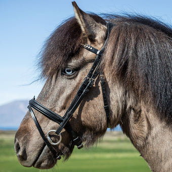 Dyon Icelandic Flash Nose Bridle