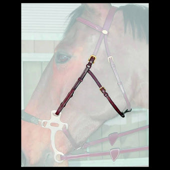 Dyon sidestykker til hackamore