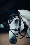 Equestrian Stockholm Royal Classic
