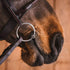 Fagerbits Harald Sweet Iron Loose Rings