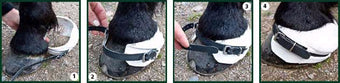 G Boots Original