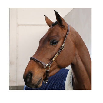 Kentucky Leather Grooming Grime