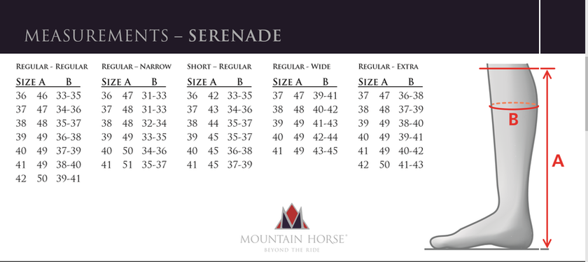 Mountain Horse Serenade