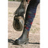 Mountain Horse Protective Jodphur